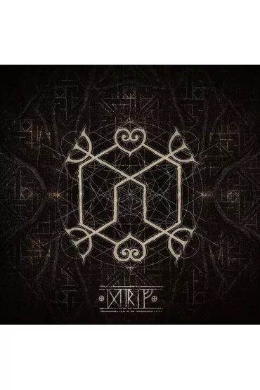 Drif (CD) - Heilung