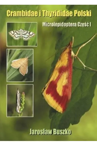 Crambidae i Thyrididae Polski - Jaros�aw Buszko