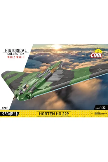 HC WWII Horten Ho 229