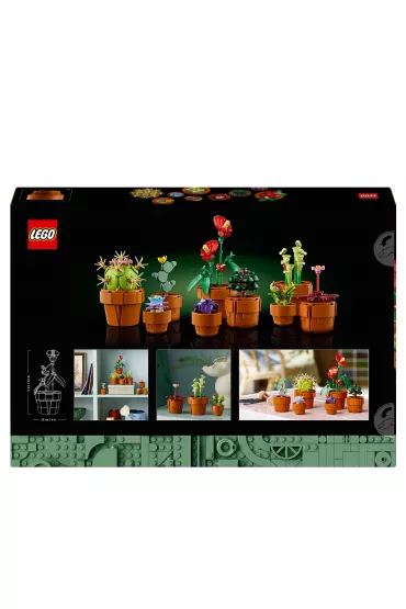 LEGO Icons Mae rolinki 10329