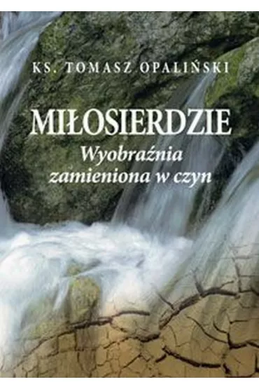 Mi�osierdzie. Wyobra�nia zamieniona w czyn - Tomasz Opali�ski