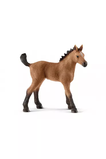 Schleich 13854 �rebi� rasy Quarter