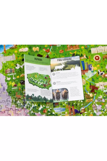 Puzzle Polska. Poznawaj, baw si�, odkrywaj Wilga Play - Irena  Trevisan