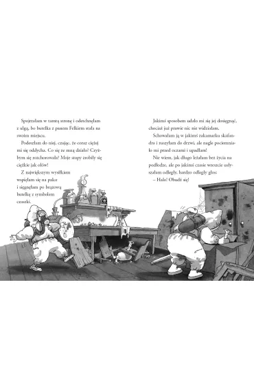 Nelly Rapp i duch w butelce - Martin Widmark