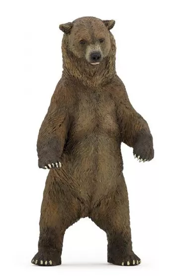 Nied�wied� Grizzly