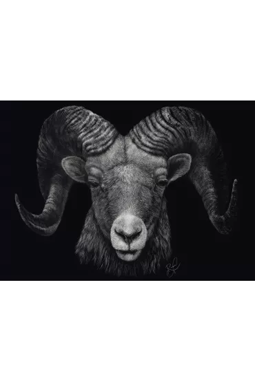 Puzzle 1000 el. Baran Schmidt - Ashley  Rader