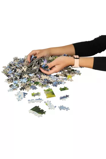 Puzzle 1000 el. Szczeni�ta buldoga francuskiego Castorland