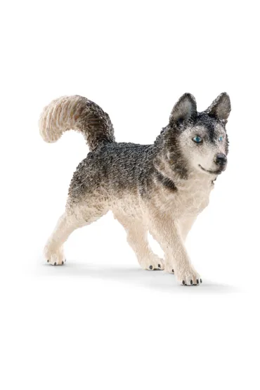 Husky