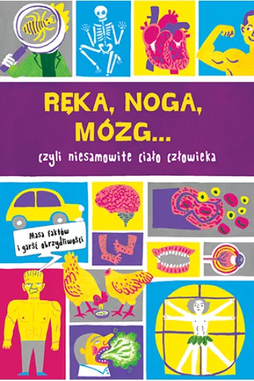 R�ka noga m�zg prawie wszystko o ciele cz�owieka - Guy Macdonald, Paul  Cemmick
