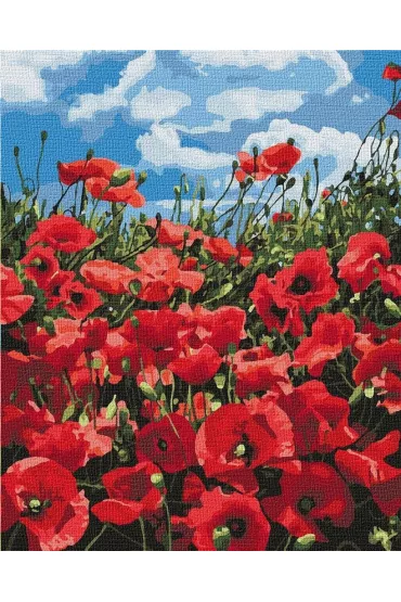 Ideyka Malowanie po numerach - Niesamowite maki 40x50cm