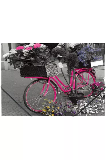 Panta Plast Teczka A4 na gumk� z nadrukiem Bike