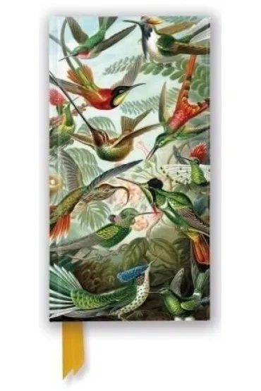 Flame Tree Notatnik Kolibry Ernst Haeckel linia