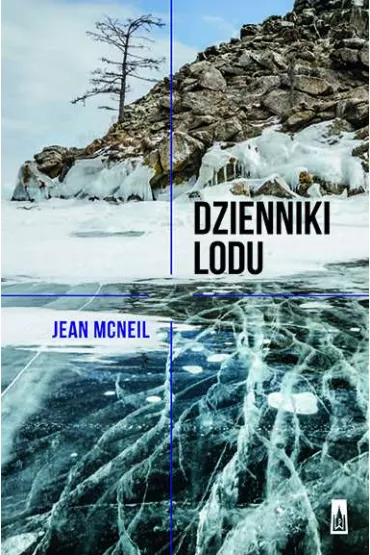 Dzienniki lodu - Jean McNeil
