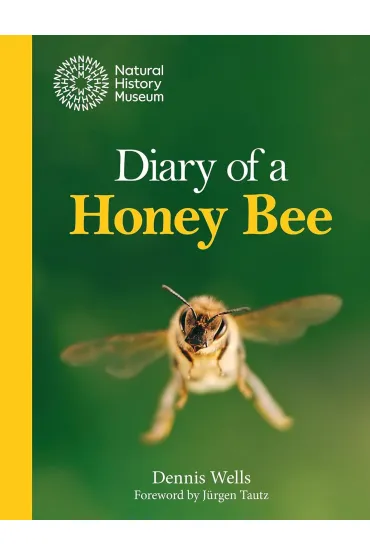 Diary of a Honey Bee - Dennis  Wells
