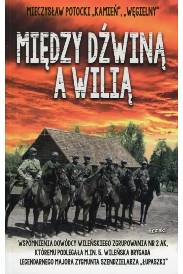 Mi�dzy D�win� a Wili� - Mieczys�aw Potocki Kamie�