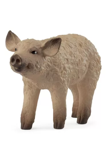 Prosi� Mangalica