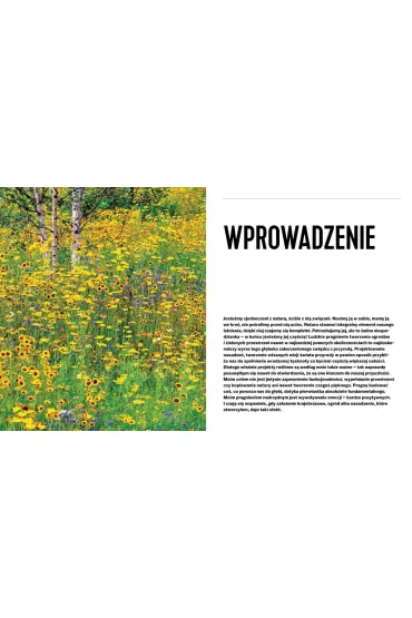 Projektowanie ogrod�w naturalistycznych. Podstawowe zasady - Nigel  Dunnett