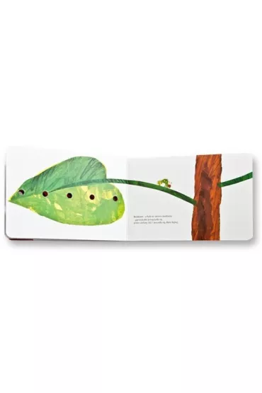 Bardzo godna gsienica - Eric Carle