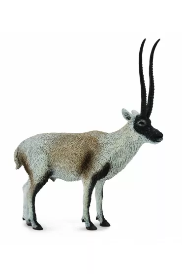 Collecta. Cziru antylopa tybeta�ska