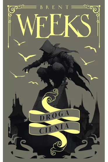 Droga Cienia. Anio� Nocy. Tom 1 - Brent Weeks
