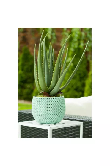 ProGarden Sztuczny Aloes w donicy 45 cm Zielony