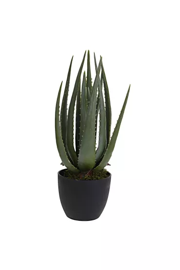 ProGarden Sztuczny Aloes w donicy 45 cm Zielony