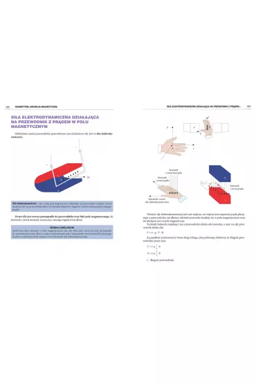 Repetytorium maturzysty 2022. Fizyka - Elbieta Senderska