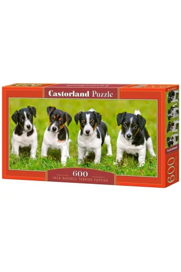 Puzzle 600 el. Jack Russell Terrier Puppies Castorland