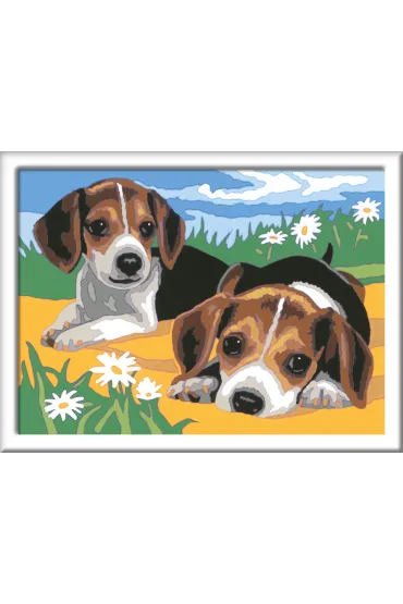 Malowanie po numerach CreArt - Szczeniaczki Jack Russel Ravensburger