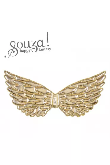 Souza! Skrzyd�a z�ote Nyla