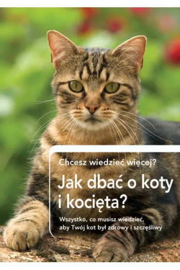 Czy chcesz wiedzie� wi�cej. Jak dba� o koty i koci�ta