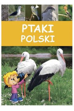 Ptaki polski