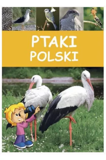 Ptaki Polski (OT) - Dominik Marchowski