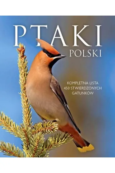 Ptaki polski - Dominik Marchowski