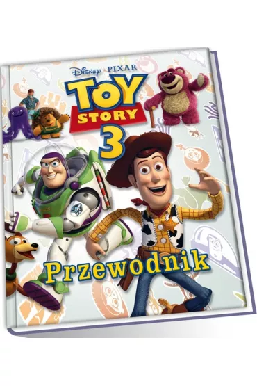 Przewodnik