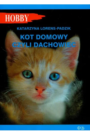 Kot domowy czyli dachowiec - Katarzyna Lorens-Padzik
