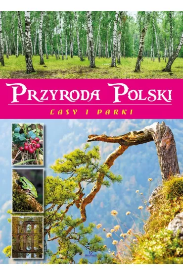 Przyroda Polski Lasy i Parki - �aneta  Zaj�c