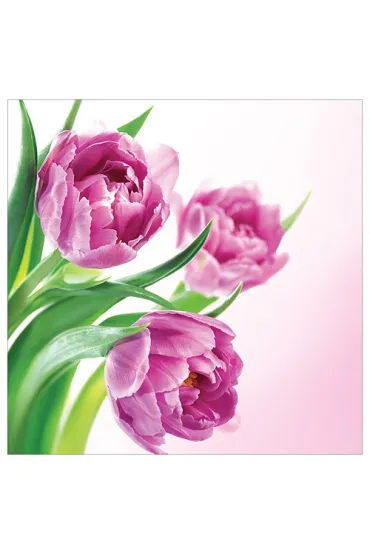 Art Nuvo Karnet kwiatowy FF76 r�owe tulipany