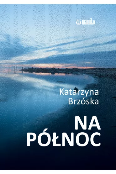 Na p�noc - Katarzyna  Brz�ska