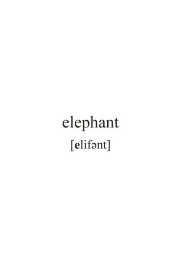 English vocabulary Animals