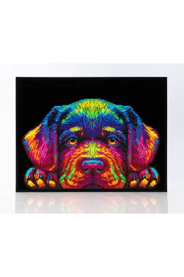 Diamond Dotz Haft diamentowy - Adults Neon Puppy 45.7x35.5cm