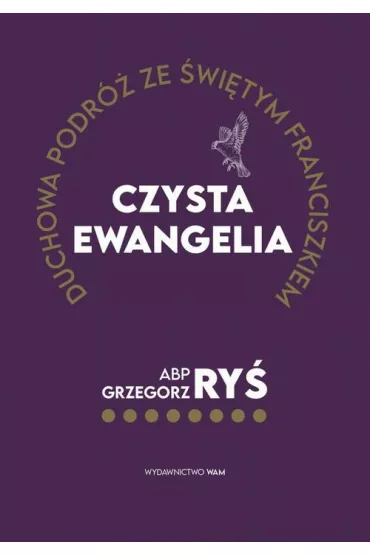 eBook Czysta Ewangelia mobi - Grzegorz Ry