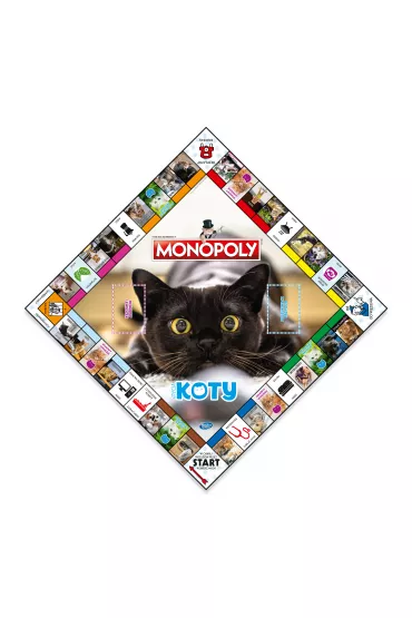 Monopoly Koty