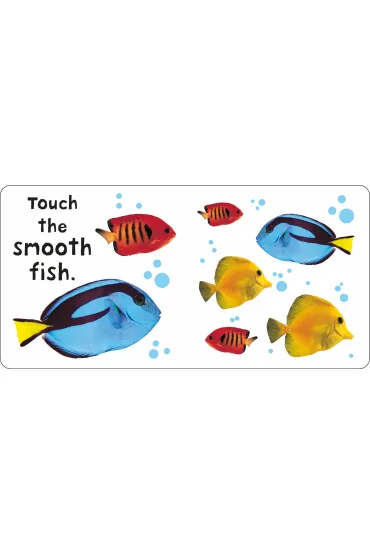 See, Touch, Feel: Animals - Roger Priddy