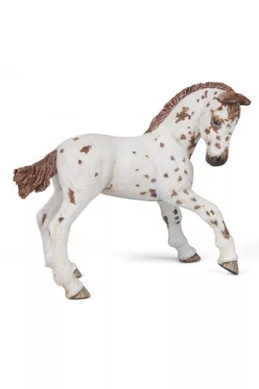 �rebi� Appaloosa