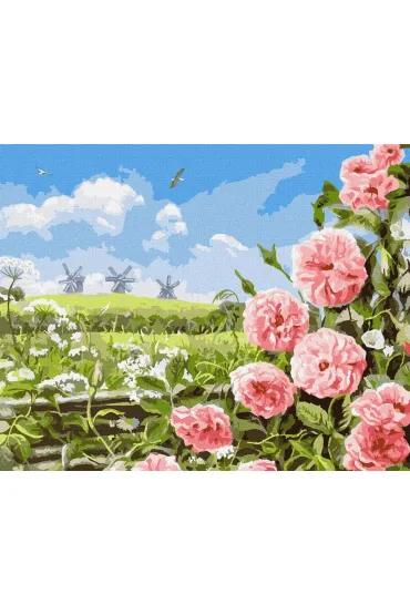 Ideyka Malowanie po numerach - Delikatno�� p�l 40x50cm