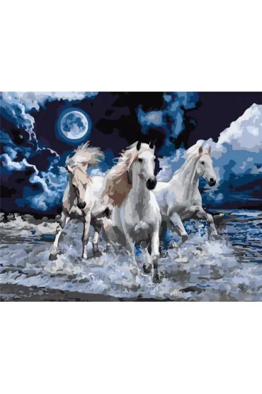Uczta Wyobra�ni Malowanie po numerach - �nie�nobia�a trojka 40x50cm