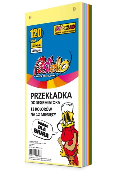 Pastello Przek�adka do segregatora 1/3 A4 120K 12 kolor�w