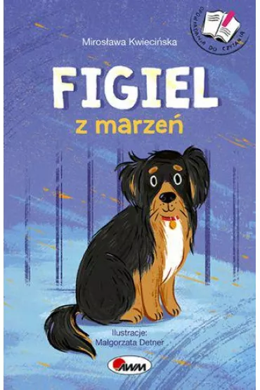 Figiel z marze� - Miros�awa Kwieci�ska