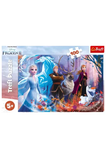 Puzzle 100 el. Magia Krainy Lodu Trefl
